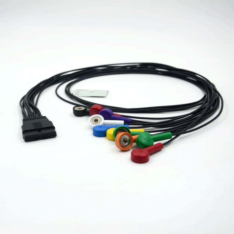 সামঞ্জস্যপূর্ণ Schiller 10 লিড ইসিজি রোগীর ক্যাবল Schiller জন্য Schiller MS-12 নীল ইসিজি ক্যাবল