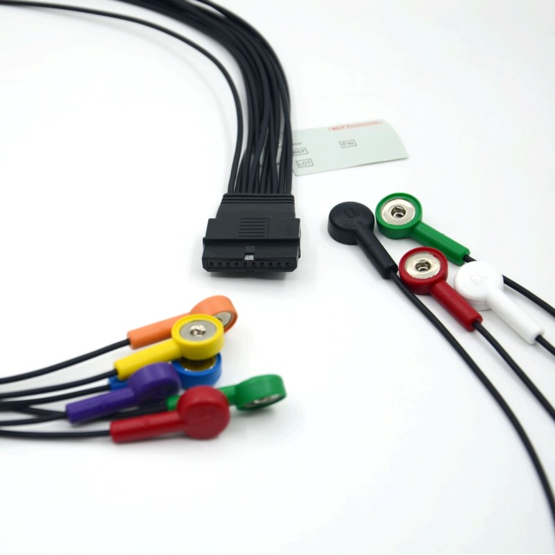 সামঞ্জস্যপূর্ণ Schiller 10 লিড ইসিজি রোগীর ক্যাবল Schiller জন্য Schiller MS-12 নীল ইসিজি ক্যাবল