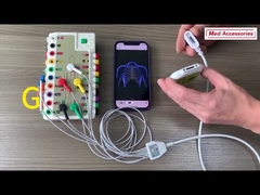 হোল্টার তারের